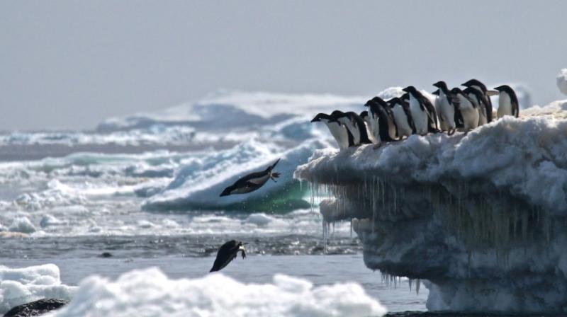 Unlike the Arctic, Antarctica is not warming and remains the coldest place on Earth, as well as its largest source of freshwater. (Photo: AFP) Unlike the Arctic, Antarctica is not warming and remains the coldest place on Earth, as well as its largest source of freshwater. (Photo: AFP)