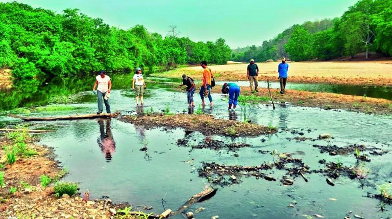 Volunteers observe a water body inside the forest. Volunteers observe a water body inside the forest.