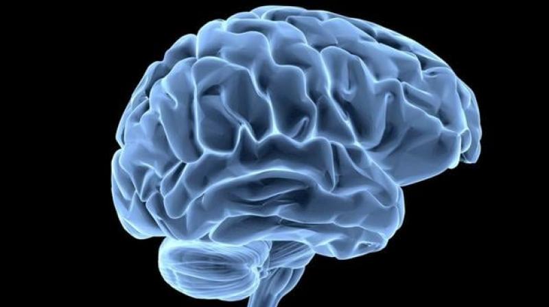 While researchers found little evidence that the virus targets the brain directly, they discovered close network relationships between the virus and genes/proteins associated with several neurological diseases. (AFP) While researchers found little evidence that the virus targets the brain directly, they discovered close network relationships between the virus and genes/proteins associated with several neurological diseases. (AFP)