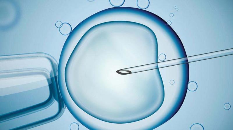 On detailed investigation, it was found that her endometrial lining was less than 6 mm against the wall advance standard of 7-12 mm. (Representational Image) On detailed investigation, it was found that her endometrial lining was less than 6 mm against the wall advance standard of 7-12 mm. (Representational Image)