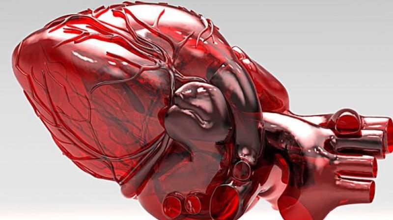 This system allowed the researchers to strip rat cells while preserving the lining matrix (Photo: AFP) This system allowed the researchers to strip rat cells while preserving the lining matrix (Photo: AFP)