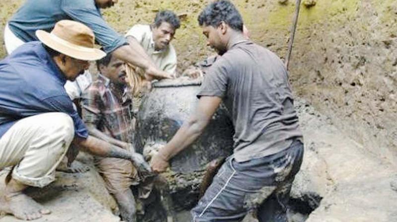 Prof Cherian(wearing hat) in the excavation process. (Photo: DC) Prof Cherian(wearing hat) in the excavation process. (Photo: DC)