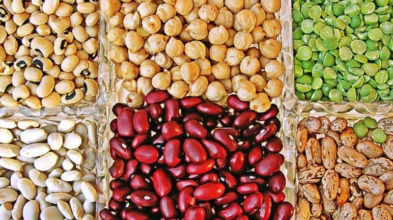 Beans and other legumes benefit cardiovascular health because they are high in fiber, plant protein, and other micronutrients. (Photo: ANI)