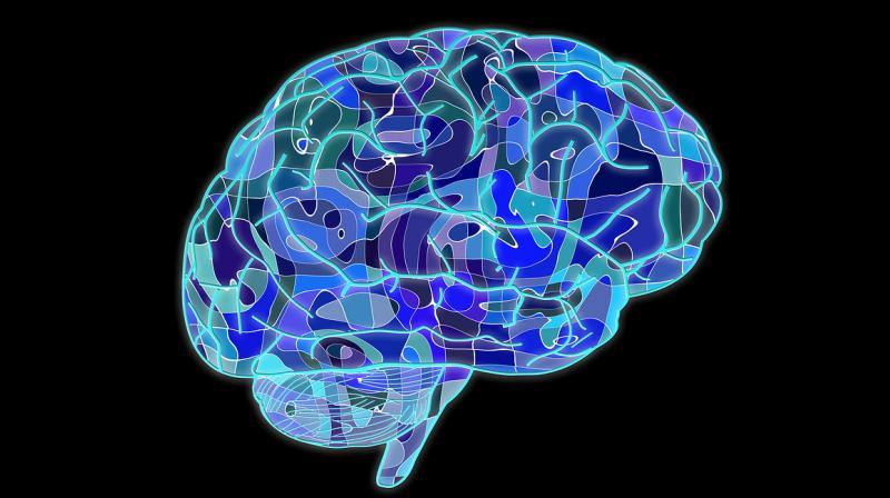 The brain may suffer from memory loss and mood disturbances The brain may suffer from memory loss and mood disturbances