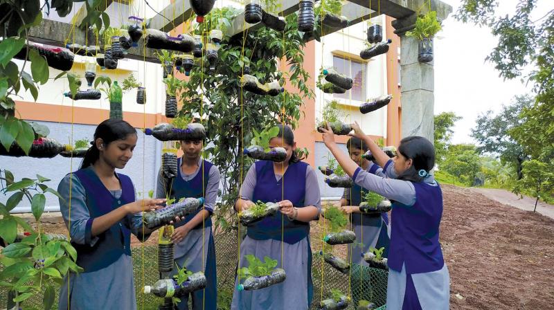 A file picture of students tending to the Hanging Garden A file picture of students tending to the Hanging Garden