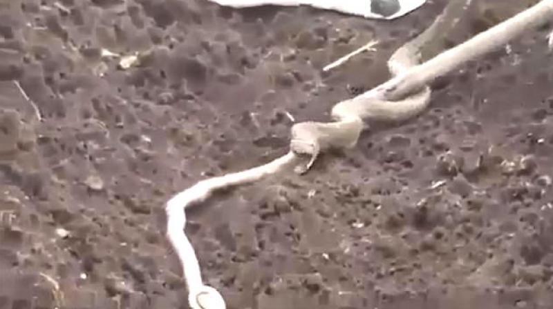 The shocking moment was caught on camera (Photo: YouTube) The shocking moment was caught on camera (Photo: YouTube)