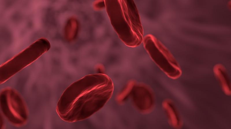 Blocking digestive hormone prevents pancreatic cancer, new study finds. (Photo: Pixabay) Blocking digestive hormone prevents pancreatic cancer, new study finds. (Photo: Pixabay)