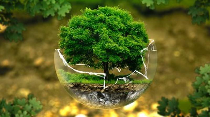 Psychology, so dedicated to awakening the human consciousness, needs to wake itself up to one of the most ancient human truths: We cannot be studied or cured apart from the planet. (Photo: Representational/Pixabay) Psychology, so dedicated to awakening the human consciousness, needs to wake itself up to one of the most ancient human truths: We cannot be studied or cured apart from the planet. (Photo: Representational/Pixabay)