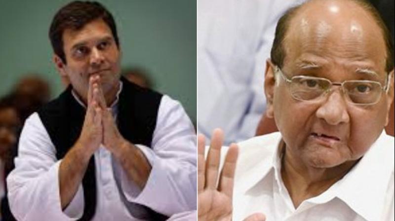Congress leader Rahul Gandhi on Friday criticised the Modi-led BJP government calling it a vindictive move for targeting Nationalist Congress Party (NCP) chief Sharad Pawar in connection with a scam at Maharashtra State Cooperative Bank just a month before the Maharashtra elections. (Photo: File) Congress leader Rahul Gandhi on Friday criticised the Modi-led BJP government calling it a vindictive move for targeting Nationalist Congress Party (NCP) chief Sharad Pawar in connection with a scam at Maharashtra State Cooperative Bank just a month before the Maharashtra elections. (Photo: File)