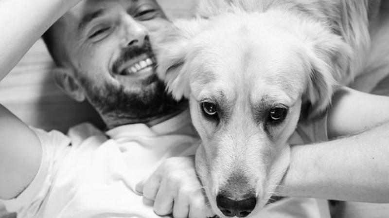 Reports say that if a pet follows you everywhere he might start suffering from anxiety and separation issues. (Photo: Pixabay) Reports say that if a pet follows you everywhere he might start suffering from anxiety and separation issues. (Photo: Pixabay)