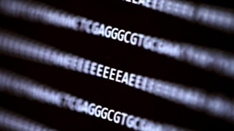 This data file tells researchers what sequence their DNA had as well as the quality of the read (with E higher quality than A). The team demonstrated that it is possible to place malicious code in a strand of DNA that, when sequenced, could attack the software used for analysis. (Image: Dennis Wise/University of Washington) This data file tells researchers what sequence their DNA had as well as the quality of the read (with E higher quality than A). The team demonstrated that it is possible to place malicious code in a strand of DNA that, when sequenced, could attack the software used for analysis. (Image: Dennis Wise/University of Washington)