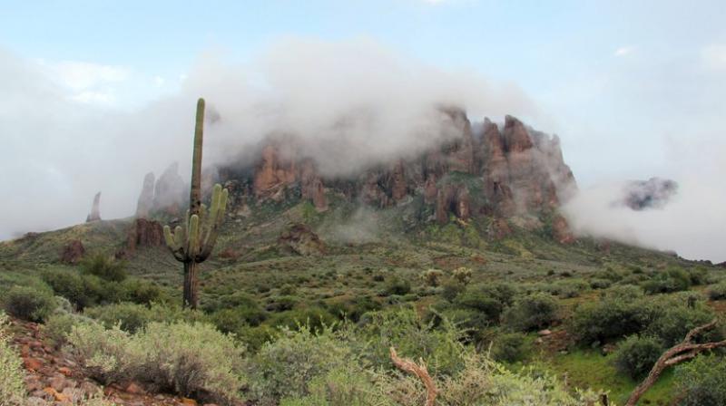 Tourists often mistakenly believe they can handle the Arizona heat and go out hiking during peak temperatures. (Photo: AP) Tourists often mistakenly believe they can handle the Arizona heat and go out hiking during peak temperatures. (Photo: AP)