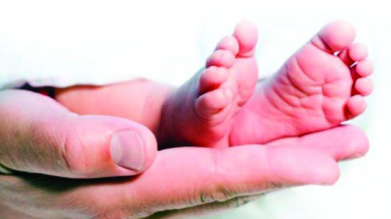10,000 babies born through surrogacy in the last decade. 10,000 babies born through surrogacy in the last decade.