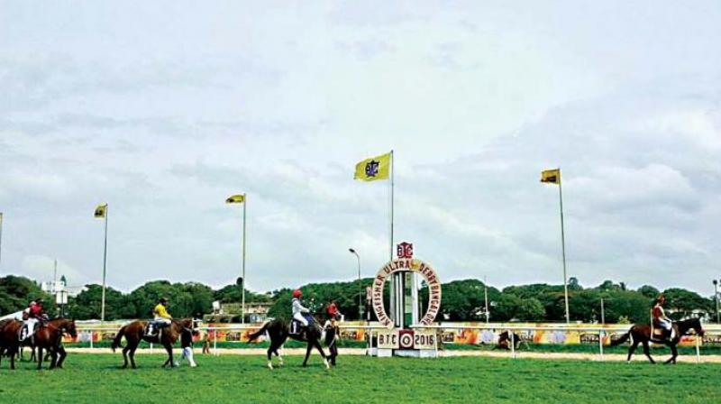The officials of the Criminal Investigation Department (CID) started their probe into the alleged doping scandal in the Bangalore Turf Club (BTC) on Thursday and questioned several officials of the BTC in this connection. The officials of the Criminal Investigation Department (CID) started their probe into the alleged doping scandal in the Bangalore Turf Club (BTC) on Thursday and questioned several officials of the BTC in this connection.