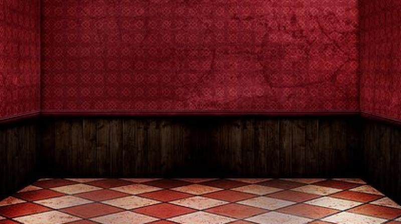 Everything at Zorica's home is red. (Photo: Representational/ Pixabay) Everything at Zorica's home is red. (Photo: Representational/ Pixabay)