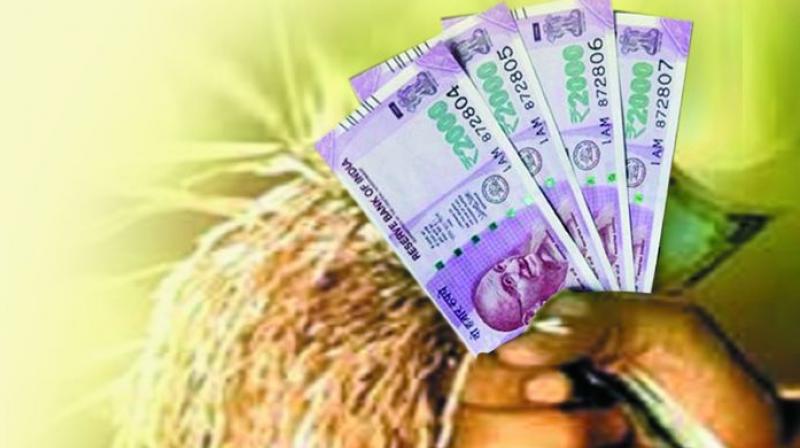 Farmers are eligible for loans from Rs 10,000 to Rs 36,000 per acre depending on the variety of crop sown. Farmers are eligible for loans from Rs 10,000 to Rs 36,000 per acre depending on the variety of crop sown.