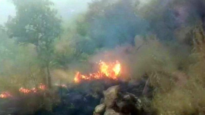 The fire broke out in Tamil Nadu's Theni district while a Chennai-based trekking club, which had 25 women and 3 children, had organised the expedition from Kurangani to Bodi in the Western Ghats. (Photo: ANI) The fire broke out in Tamil Nadu's Theni district while a Chennai-based trekking club, which had 25 women and 3 children, had organised the expedition from Kurangani to Bodi in the Western Ghats. (Photo: ANI)