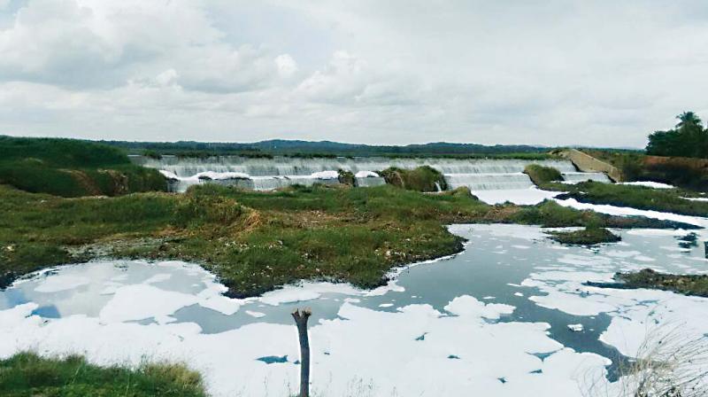 The citizens’ group, United Bengaluru, which is at the forefront of fight against deterioration of city’s lakes, visited the two water bodies on Saturday, and met local residents and government officials.The residents said that froth can be seen in Byramangala reservoir and it could be the next Bellandur Lake. The citizens’ group, United Bengaluru, which is at the forefront of fight against deterioration of city’s lakes, visited the two water bodies on Saturday, and met local residents and government officials.The residents said that froth can be seen in Byramangala reservoir and it could be the next Bellandur Lake.