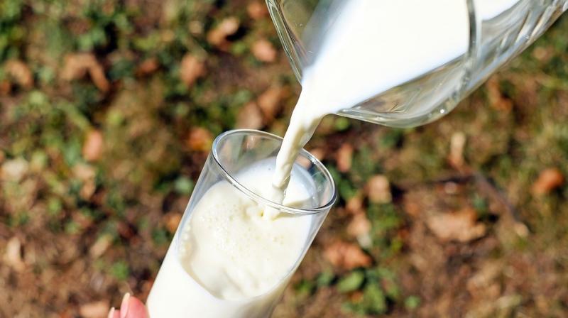 Dairy products low on Iodine matters. (Photo: Pixabay) Dairy products low on Iodine matters. (Photo: Pixabay)