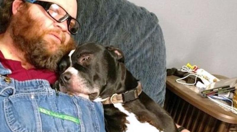 The incident proved rather too much for Balew, described by Remme as a "big wuss" who laid down and cried after the firearm went off. (Photo: Twitter/MessengerNews) The incident proved rather too much for Balew, described by Remme as a "big wuss" who laid down and cried after the firearm went off. (Photo: Twitter/MessengerNews)