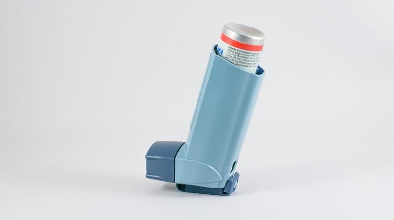 Scientists develop new treatment that could reduce asthma severity in kids. (Photo: Pixabay) Scientists develop new treatment that could reduce asthma severity in kids. (Photo: Pixabay)