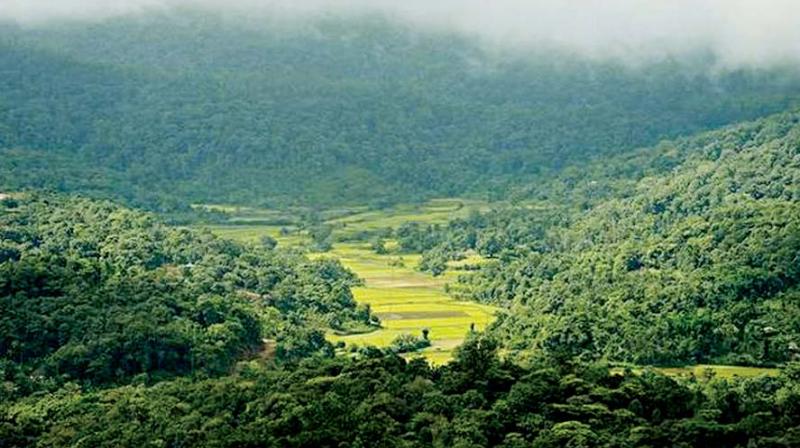 Dakshina Kannada and Udupi lost more than 70 per cent of total tree cover. Dakshina Kannada and Udupi lost more than 70 per cent of total tree cover.