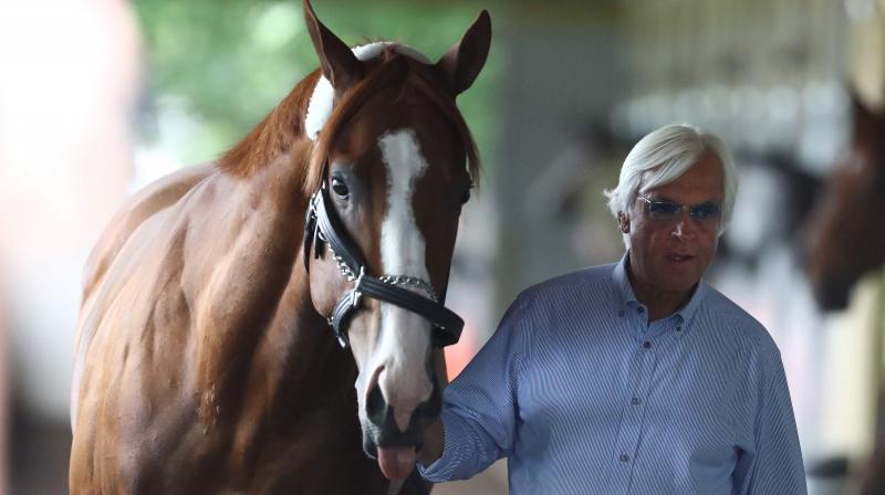 Triple Crown and Belmont Stakes contender Justify is walked in his barn by trainer Bob Baffert in 2018 at Elmont, New York. AFP Photo