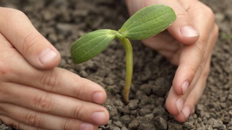 The researchers found that when survey participants were shown the package with a green cue, they perceived the product to be more environmentally friendly The researchers found that when survey participants were shown the package with a green cue, they perceived the product to be more environmentally friendly