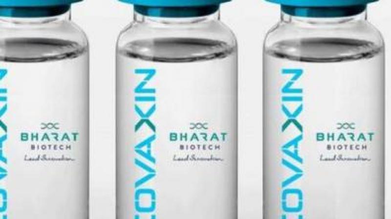 Covaxin Jabs Possibly Part Of Bharat Biotech S Phase 3 Trial