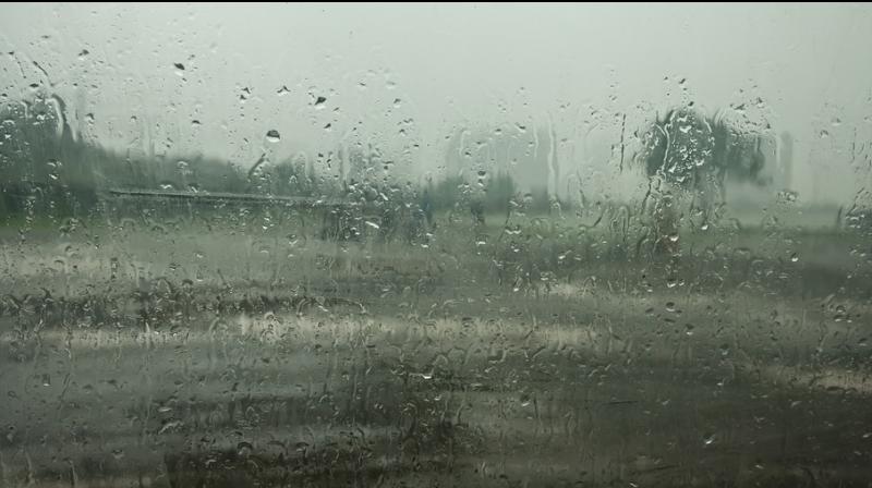 ‘Good is news is the factors that aid the progress of monsoon, including south-westerly winds and Somali jet stream, are gradually becoming active," IMD's regional weather forecasting chief Kuldeep Srivastava said. (Photo: Pixabay | Representational) ‘Good is news is the factors that aid the progress of monsoon, including south-westerly winds and Somali jet stream, are gradually becoming active," IMD's regional weather forecasting chief Kuldeep Srivastava said. (Photo: Pixabay | Representational)