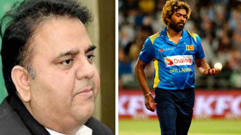 Sri Lanka Cricket (SLC) held a meeting with the players to inform them about the security arrangements before the selectors sit for the selection of squads. (Photo: AFP) Sri Lanka Cricket (SLC) held a meeting with the players to inform them about the security arrangements before the selectors sit for the selection of squads. (Photo: AFP)