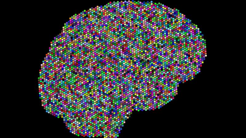 Stanford University researchers investigate complex nature of concussions Stanford University researchers investigate complex nature of concussions