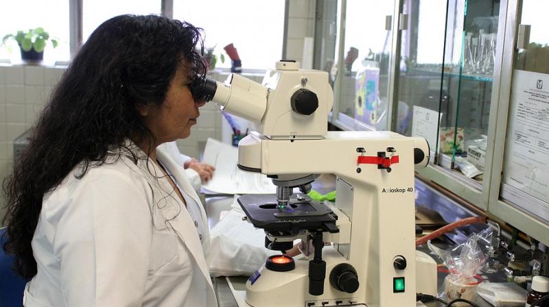 A new protein may be new weapon against cancer, birth defects. (Photo: Pixabay) A new protein may be new weapon against cancer, birth defects. (Photo: Pixabay)