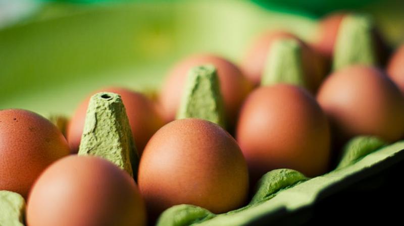 Eggs are subjected to a series of sudden temperature changes if they are stored in the fridge door. (Photo: Pexels) Eggs are subjected to a series of sudden temperature changes if they are stored in the fridge door. (Photo: Pexels)