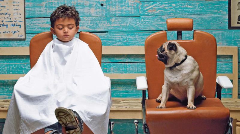 The iconic Hutch ad with the pug and the boy. The iconic Hutch ad with the pug and the boy.