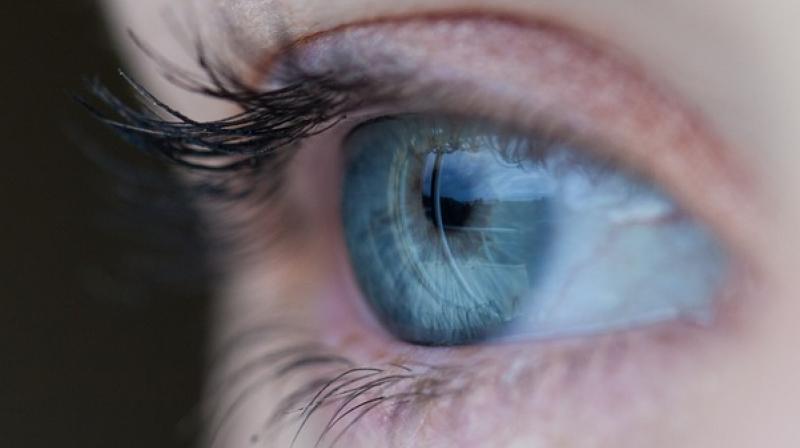 Retina is that part of the eye where the final vision is formed, the way it is created on a film inside a camera. (Photo: Pixabay) Retina is that part of the eye where the final vision is formed, the way it is created on a film inside a camera. (Photo: Pixabay)