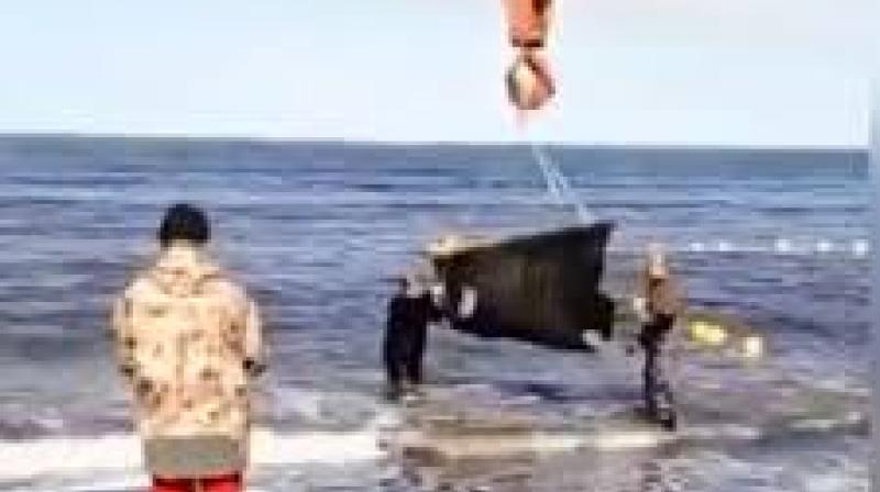 Russia returned two killer and six beluga whales to their natural habitat in the Sea of Okhotsk last week. (Photo: Twitter/@Quad_Finn) Russia returned two killer and six beluga whales to their natural habitat in the Sea of Okhotsk last week. (Photo: Twitter/@Quad_Finn)