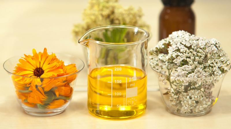 It is used as a mild laxative and finds use in medicinal use for rheumatism, hair care and menstrual problems. (Photo: Representational/Pixabay) It is used as a mild laxative and finds use in medicinal use for rheumatism, hair care and menstrual problems. (Photo: Representational/Pixabay)