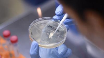 Other studies outside Chile have also indicated that the coronavirus can evolve as it adapts to its human hosts. (AFP)