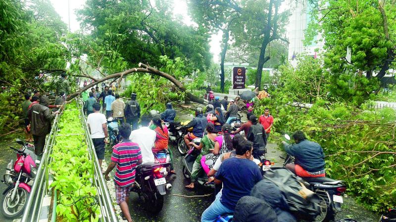 Trees blocked most of Chennai's main roads as Cyclone Vardah wreaked havoc on Monday noon. Traffic on several major roads, including the famous Anna Salai, Grand Southern Trunk road was affected (Photo: PTI) Trees blocked most of Chennai's main roads as Cyclone Vardah wreaked havoc on Monday noon. Traffic on several major roads, including the famous Anna Salai, Grand Southern Trunk road was affected (Photo: PTI)