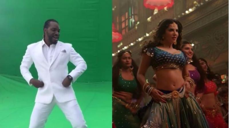 Chris Gayle Sunny Leone Xxx Video - Watch: Chris Gayle dances to Sunny Leone's 'Laila' from Shah Rukh ...