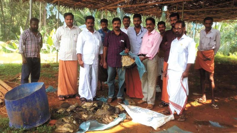 Residents with the meat recovered from two migrant labourers near Iritty on Friday. Residents with the meat recovered from two migrant labourers near Iritty on Friday.