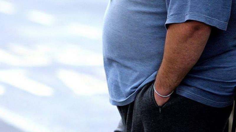The fat mainly around the abdomen may indicate future health mainly including cardiovascular diseases. (Photo: Pixabay) The fat mainly around the abdomen may indicate future health mainly including cardiovascular diseases. (Photo: Pixabay)