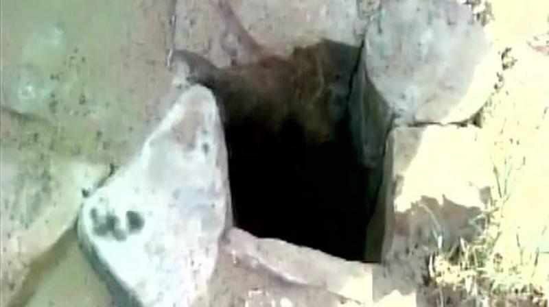 A six-year-old girl who had fallen into a borewell in Alwar, Rajasthan, died after seven days of rescue operation. (Photo: ANI) A six-year-old girl who had fallen into a borewell in Alwar, Rajasthan, died after seven days of rescue operation. (Photo: ANI)