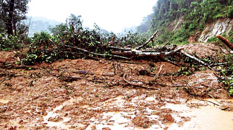 A hill that slid down in Sakleshpur on Friday. (Photo: DC) A hill that slid down in Sakleshpur on Friday. (Photo: DC)