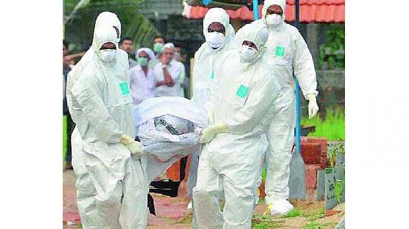 Several fake rumours cirulated on social media when Nipah virus hit Kerala last year. Several fake rumours cirulated on social media when Nipah virus hit Kerala last year.