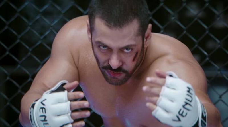 A still from 'Sultan'. A still from 'Sultan'.
