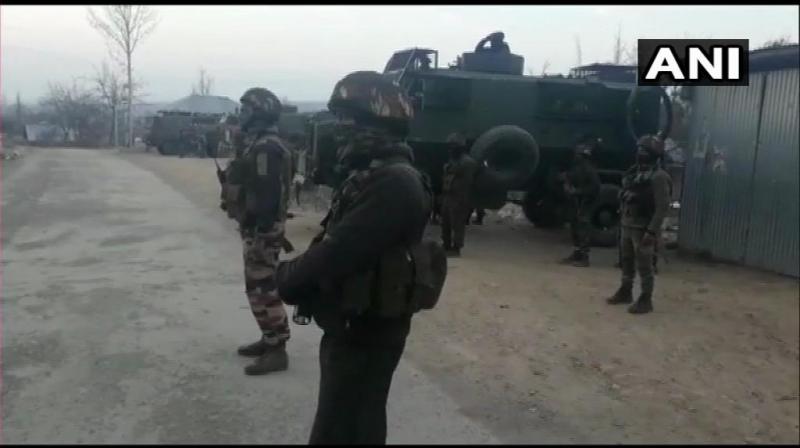 Security forces launched a cordon and search operation in Awneera area of Shopian in early hours after receiving information about presence of terrorists there, a police spokesman said. (Photo: File) Security forces launched a cordon and search operation in Awneera area of Shopian in early hours after receiving information about presence of terrorists there, a police spokesman said. (Photo: File)