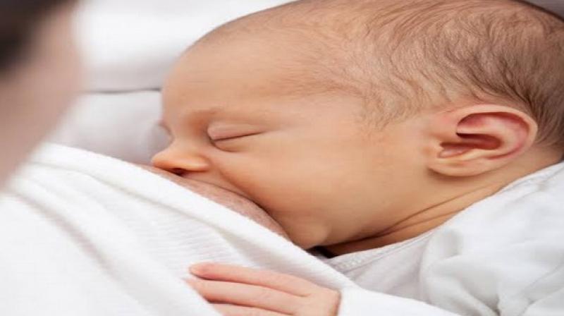 The researchers showed that human breast milk inhibits the growth of the pathogenic bacteria. (Photo: ANI) The researchers showed that human breast milk inhibits the growth of the pathogenic bacteria. (Photo: ANI)