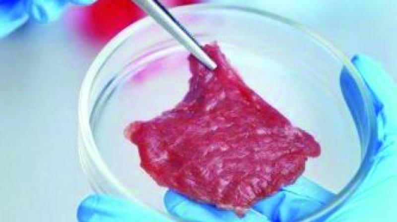 35% of all meat will be cultured in 2040 and 25 per cent will be vegan replacements. 35% of all meat will be cultured in 2040 and 25 per cent will be vegan replacements.